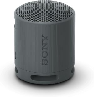 Sony SRS-XB100 Coluna